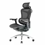 SIHOO Doro C300 Sedia Ufficio Ergonomica con Braccioli Ultra Morbidi in 3D, Supporto Lombare Dinamico per Sedia scrivania a Casa, Sedia da Scrivania con Schienale Regolabile (Nera)