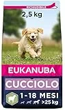 Eukanuba Cibo Secco per Cuccioli di Taglia Grande, Ricco di Agnello e Riso, 2,5 kg