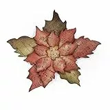 Sizzix Fustella Bigz Poinsettia Strappata, Acciaio Inossidabile, Bianco, Stella Di Natale Stracciata