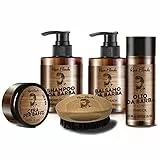 TRATTAMENTI PRODOTTI BARBA BEARD RENEE B. SHAMPOO, BALSAMO, OLIO CERA KIT / SET (KIT BARBA + SPAZZOLA)