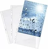Durable 267619 - Busta premium forata per cataloghi, f.to A4, finitura lucida, apertura lato superiore, trasparente, confezione 100 pezzi