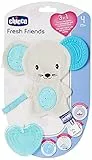 Chicco Fresh Friend Massaggiagengive