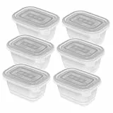 Rotho Set di 6 scatole per congelatore da 0,25 l con coperchio, plastica (PP) senza BPA, trasparenti, 6 x 0,25 l (11,2 x 7,8 x 5,9 cm)