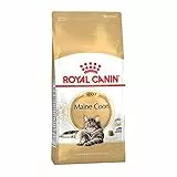 Royal Canin Mangimi Secchi Per Gatti Maine Coon 31 - 2 kg