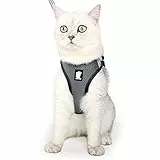 Set di Pettorina e guinzaglio per Gatti, a Prova di Fuga, Riflettente, Regolabile, in Morbida Rete, Imbottita, per Cuccioli, Gattini, Passeggiate all'aperto