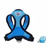 Locisne Tessuto di maglia del cane cablaggio della maglia morbida regolabile confortevole | Pet Petto Piombo Walking guinzaglio con clip (Blu, Piccolo)