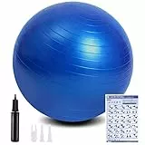 flintronic Palla Fitness, Palla da Ginnastica, 65cm Palla Anti-Scoppio, Palla di stabilità, con Pompa, Strumento Tappo Pompa, E Manuale per Yoga, Esercizi di Equilibrio, Allenamento, Fitness