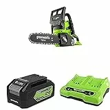 Greenworks Tools Motosega a Catena a Batteria G24CS25 Li-Ion 24V + 2x Batteria G24B4 di 2a gen agli ioni di litio 24 V, 4 Ah + Caricabatterie universale G24X2C a doppio slot, uscita Li-Ion 24 V, 48W