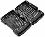 Marchio Amazon - Denali Set di punte da trapano, Filettato, in Acciaio super rapido, per Legno, da 20 pezzi con custodia, 15.6 x 10.8 x 4.3 cm