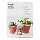 Cricut Vinile Stampabile, da Utilizzare con Stampanti a Getto D'Inchiostro e Macchine da Taglio, Bianco, 21.5 cm x 27.9 cm (8.5 x 11 pollici), 10 Fogli, 21.5cm x 27.9cm (8.5' x 11'), Unità