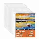 Tela per Dipingere (12pz) 20X25CM, Tele Intelaiat per Pittura per Artisti, Tele da Dipingere Per Dipingere, ad Acrilici, Pittura ad Olio, 100% Cotone