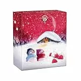 Pompadour Calendario d'Avvento, Infusi e Tisane Assortite, 25 Bustine, Ideali per le Fredde Sere di Inverno, Senza Lattosio, Senza Glutine e Allergeni, Vegan, 400 g