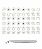 WJIAEER 40PCS Fiori secchi naturali Nontiscordardime Fiori secchi veri per goffratura in resina con pinzette a gomito (Fiori bianchi)