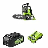 Greenworks Tools Motosega a Catena a Batteria G24CS25 Li-Ion 24V 4 m/s + Batteria G24B4 di 2a generazione agli ioni di litio, 24 V, 4 Ah + Caricabatteria G24C, uscita Li-Ion 24 V, 48W