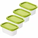 Rotho Domino Set di 4 Vasetti Freezer con Coperchio, Plastica (PP) senza BPA, Verde/Trasparente, 4 x 0.2 L, 11.7 x 7.5 x 5.5 cm