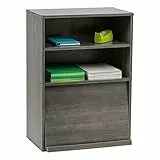 Iris Ohyama, Armadio con ante, Ripiano portaoggetti, 2 vani componibili, Design, Solido, Moderno, Multiuso, Ufficio, Camera da letto, Soggiorno, Flap Rack CHR-1, Rovere grigio