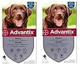 advantix Spot-ON per Cani Oltre 25 kg Fino a 40 kg - Offerta 2 Confezioni