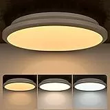 Dexnump Plafoniera LED Soffitto Moderna 24W 2400Lm Dimmerabile Plafoniera 2700K-6500K con Telecomando IP44 Plafoniera Bagno Ø30CM