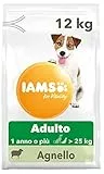 IAMS for Vitality Alimento secco con agnello per cani adulti (1-6 anni) di taglia grande - 12 kg