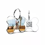 DISONTAG Medagliette identificative personalizzate per animali domestici con testo anteriore, QR posteriore diretto al profilo Salvataggio e visualizzazione delle informazioni|Modificabile