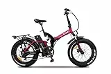 Argento Bi Max Bici Elettrica Pieghevole, Full Suspension, Ruote Fat 20'x 4, Freni a Disco, Motore 250W, Peso Max Supportato 100 kg, Batteria 374Wh, 27 kg