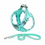 Elevant Pettorina Cane Taglia Piccola, Step-in Pettorina per Cani Gatti Cuccioli con Guinzaglio Comodo, Riflettente Traspirante Imbracatura Cane Morbida Imbottito per Passeggiate (XXS, Verde Chiaro)