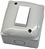 Electraline 60453 Contenitore Protetto con Deviatore, Bianco