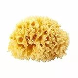 OKBABY Arcipelago - Spugna Naturale dal Mar Mediterraneo per il Bagnetto del Neonato, Ultra Soffice e Morbida, Ideale per la Pelle Delicata - Misura 12