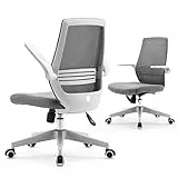 SIHOO Sedia da Ufficio, Ergonomica Girevole a 360 °, braccioli Pieghevoli e reversibili, Sedia da Scrivania con Comodo Supporto Lombare in Rete Traspirante, con Ruote Girevoli in Nylon Grigio