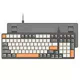 ZIYOU LANG K3 Tastiera meccanica, staccabile USB C cablato Blue Switch illuminato a LED retroilluminato tastiera da gioco compatta 100 tasti con tastierino numerico per PC, per PC/laptop
