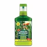 Crescita Miracolosa NUTRIMENTO Piante GRASSE