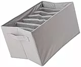 Amazon Basics - Organizer per cassettiera, per reggiseni e biancheria intima, confezione da 2, Grigio