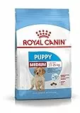 Royal Canin Medium Junior Cibo per cani, 10 Kg