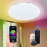 EXTRASTAR Smart Wifi Lampada da soffitto, 24W 1900lm Lampada da WiFi Luce Dimmerabile RGB Controllo vocale dimmerabile Multicolore Rotondo Plafoniere Supporto per Alexa Google und Alexa.