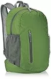 Amazon Basics Ultralight Packable Day Pack, Green, 35L