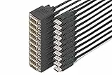 Digitus Cavo Adattatore DisplayPort - DVI, Confezione da 10 Pezzi