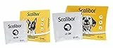 Scalibor 48cm - Collare Antiparassitario Per Cani - Collare Antipulci E Antizecche Per Cani Di Taglia Piccola E Taglia Media. 12 Mesi Di Protezione