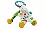 Fisher-Price - Zebra Primi Passi Spingibile, Giocattolo Elettronico Educativo con Musica e Suoni, per Camminare, per Bambini di 6+ Mesi, HBB66, Imballaggio Sostenibile
