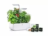 Véritable® Smart (Versione Arctic White) - Orto da Interno Made in France - Giardino Autonomo Intelligente con Tecnologia Adapt 'Light - Viene Fornito con 4 Lingots®