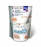 Forza10 Cibo umido per gatti come supporto della funzione renale, confezione da 1 (1 scatola x 12 pezzi)