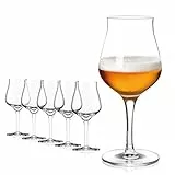 Bicchieri da birra da 420 ml - Set bicchieri birra - Boccale birra alto in vetro - 6 Bicchieri degustazione birra lavabili in lavastoviglie
