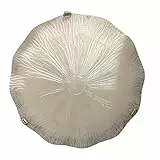 Generico Plafoniera In Vetro Satinato Bianca Classica Con Gancio Cromato, Plafoniere Soffitto Per Cameretta Bambini, Plafoniera Da Bagno, plafoniera soffitto da soggiorno e da ufficio. (Bianca D30)