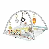Fisher-Price Palestrina 5 Sensi Deluxe, Stimola Sviluppo del Neonato, da 0+ Mesi, GKD45