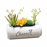 GIZTAT Simulazione di Piante Succulente in Vaso Succulente Finte Realistiche in Vasi di Ceramica Decorazione per Camera da Letto Bagno Ufficio Auto Regalo Personalizzato (Color : A)