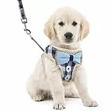 WBYJ Pettorina per Cani,Imbracature con Pettorina per Cani,Regolabile,Morbido e Mesh Traspirante Pettorina per Gilet per Cani,a Prova di Fuga,Adatto per Passeggiate Quotidiane, Allenamento(M)