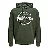 JACK & JONES Jjstanli Sweat Hood, Felpa con cappuccio, Mountain View/Print:big, L Uomo
