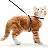 Ducomi Meow Pettorina Gatto Antifuga con Guinzaglio – Collare Gatti Piccola Taglia e Cuccioli, Imbracatura Regolabile e Guinzaglio 105 cm per Passeggio Gatti in Sicurezza (Black)
