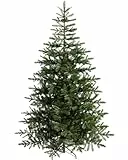 WeRChristmas Nordmann abete albero di Natale, plastica, verde, 1,8 m/1.8 m, plastica, Green, 7 feet/2.1 m