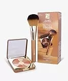 Bionike Defence Color Terra Compatta Sun Touch 210 Bronze + Pennello Terra