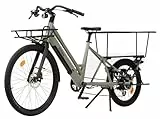 Nilox C3, Ebike Cargo Long, Bici Elettrica Fino a 15kg Anteriori e 80kg Posteriori, Autonomia fino a 50 km, Telaio Alluminio 24kg, Motore BAFANG 250W, Batteria 10Ah 360Wh, Display LCD, Freni Idraulici